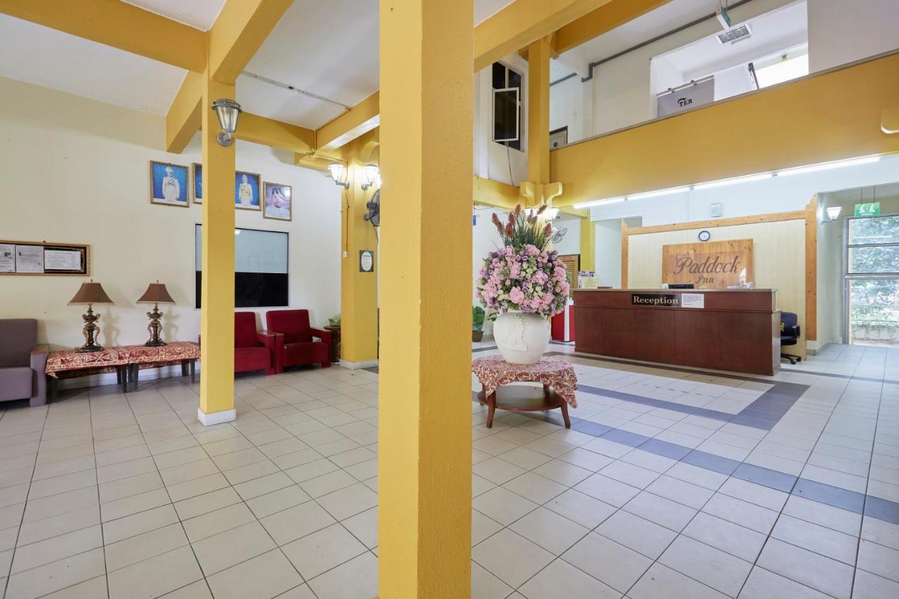 Terengganu Equestrian Resort Куала-Тренгану Экстерьер фото