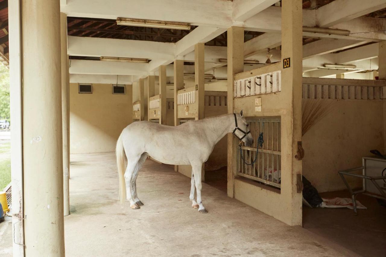 Terengganu Equestrian Resort Куала-Тренгану Экстерьер фото