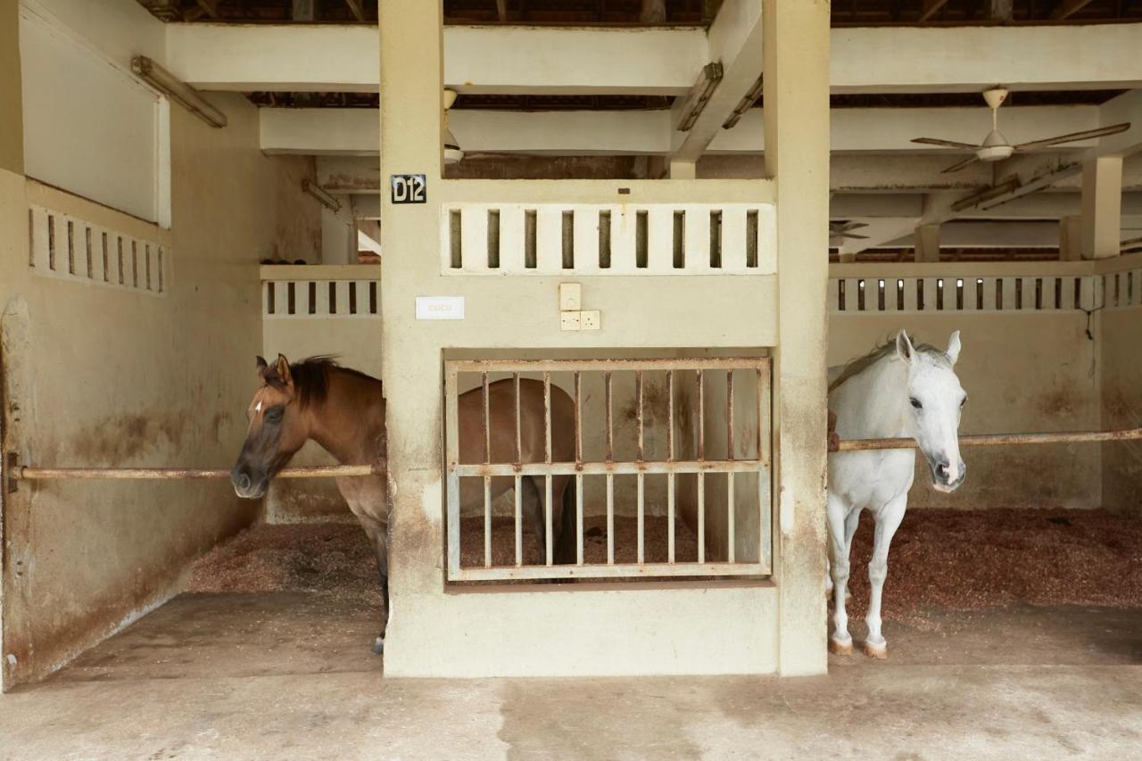 Terengganu Equestrian Resort Куала-Тренгану Экстерьер фото