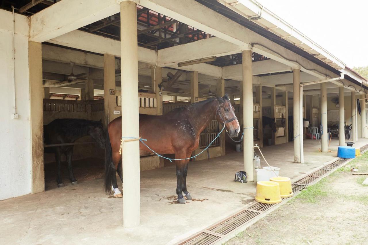 Terengganu Equestrian Resort Куала-Тренгану Экстерьер фото