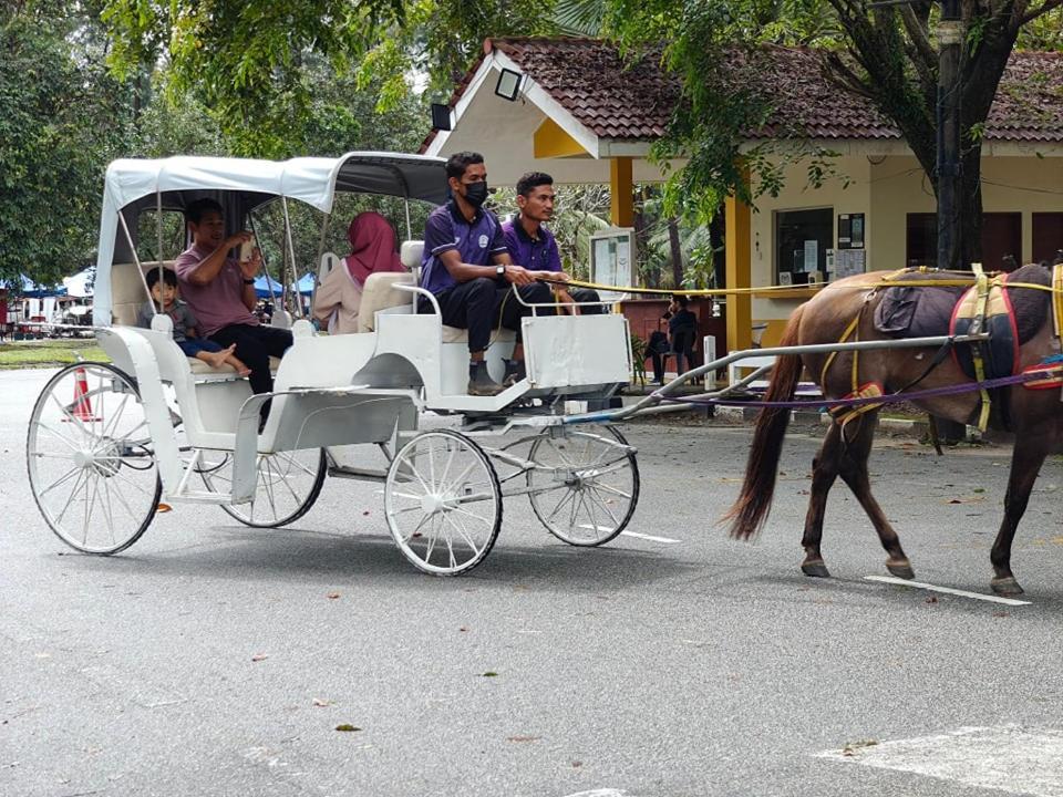 Terengganu Equestrian Resort Куала-Тренгану Экстерьер фото
